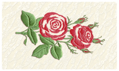 DNSEMP-C-506-RD Satin Rose Red